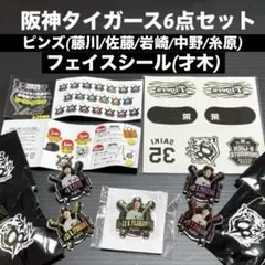 阪神タイガース シークレットピンズ 佐藤 岩崎 他 藤川 /フェイスシール 才木