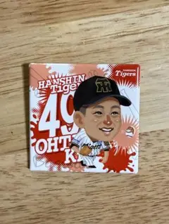阪神タイガース マッカノーズシークレット缶バッジ 大竹耕太郎