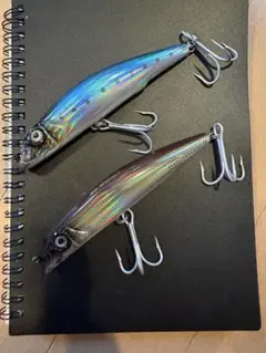デュエル　アイルマグネット　リップレスミノー
