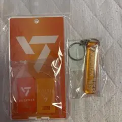 seventeen セブチ BE THE SUN 宿泊者限定特典
