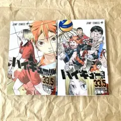 【美品】ハイキュー 33.5 劇場版ゴミ捨て場の決戦 特典