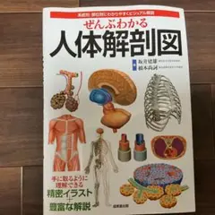 ぜんぶわかる人体解剖図 系統別・部位別にわかりやすくビジュアル解説