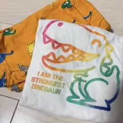 Blue Mart 恐竜Tシャツ 半ズボン セット 80