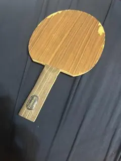 インテンシティST　スティガ