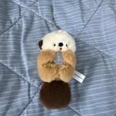 ぷかぷかラッコのぬいぐるみ　ガチャガチャ
