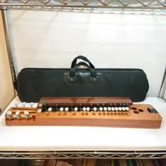 大正琴 YAMAHA TH-10M