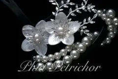 Item thumbnail for item 1add87cc-259a-41c1-abc4-73da23dac83f