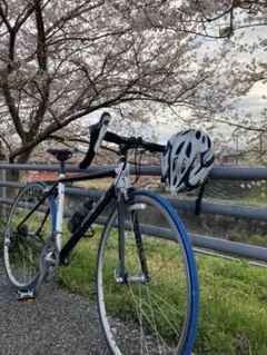 アラヤ ARAYA エクセラレース ロードバイク