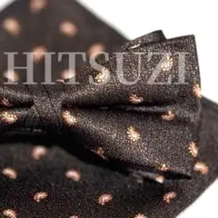 Item thumbnail for item 17a093ed-43e3-4ea7-9d9b-24f091cee0aa
