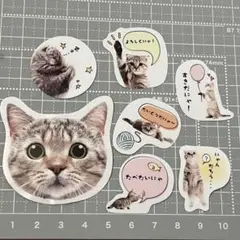 猫のイラスト ステッカーセット 25枚入り