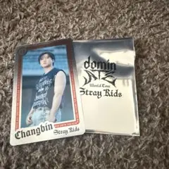 straykids ライブフォトカード チャンビン