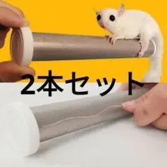 Item thumbnail for item 6c8bf50e-d30b-404f-b0db-c31eabcdd46f