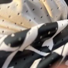 Item thumbnail for item 69e79c43-e094-4ee8-9455-20a5f123df7b