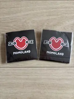 MOMOLAND 缶バッジ 2個セット