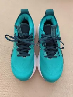 Item thumbnail for item 75dc2bb5-e134-4424-bd22-b29fd4257be4