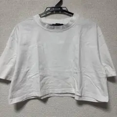 ZARA ザラ ショート丈Tシャツ トップス 半袖 クロップドTシャツ
