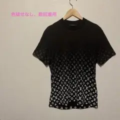LOUIS VUITTON ルイヴィトン グラデーション Tシャツ