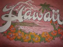 ビンテージ　HAWAII ハワイ Tシャツ　リンガー　赤系　M
