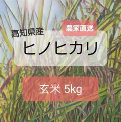 高知・奈半利町産ヒノヒカリ 玄米5kg