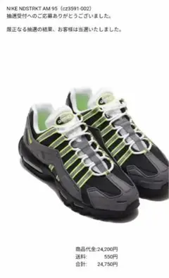AIR MAX 95 / エアマックス95インデストラクト