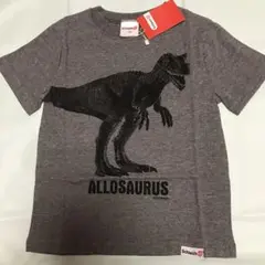 【新品】シュライヒ　アロサウルス　Tシャツ　120cm