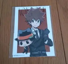 家庭教師ヒットマンREBORN 沢田綱吉 まるくじ 購入特典 ブロマイド