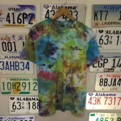 USA古着 backpacker タイダイTシャツ サイズL