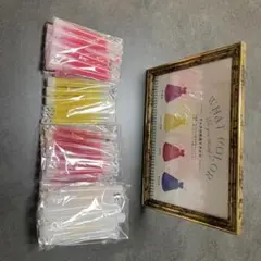 ドレス色当てクイズセット