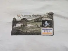90s ビンテージ Tシャツ 企業ロゴ VISA クレカ クレジットカード