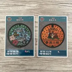 (2枚セット)(匿名配送)我孫子市マンホールカード 55周年記念