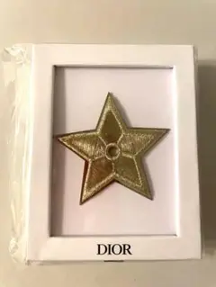 Dior ピンバッジ
