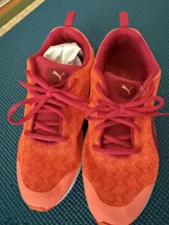 Item thumbnail for item 7831ab19-41af-4b9d-9832-d652cad85140