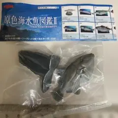 原色海水魚図鑑ウマズラハギ