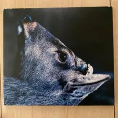 未使用品レコード　toe　The Book About My Idle Plot THE BOOK ABOUT MY IDLE PLOT ON A VAGUE ANXIETY (LP)/toe