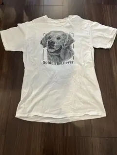 ゴールデンレトリバー　ヘインズ　tシャツ