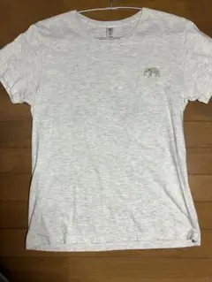 Item thumbnail for item 5b8be588-ff56-403b-855e-258024d8e0eb