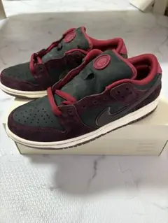 DUNK SB RIOT skate boarding