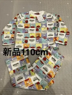 Item thumbnail for item b9fd4c96-1428-4810-a392-3c405d048d77