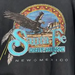 Harley-Davidson サンタフェ イーグル ご当地 プリント XL