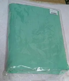 Item thumbnail for item 84a3a3ea-11e9-4a51-a2c8-27f194c3bef7