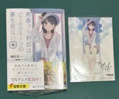 青春ブタ野郎はビーチクイーンの夢を見ない+ イラストカード付き