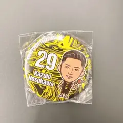 【新品未開封】群馬クレインサンダーズ 細川一輝 缶バッジ
