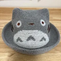 となりのトトロ 50cm ジブリ どんぐり共和国ちぃぼうし メッシュ