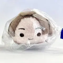 【新品未開封】逆転裁判　カプころマスコットぬいぐるみ　御琴羽寿沙都