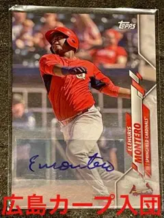 広島カープ入団❗️Elehuris Montero 直筆サイン　エレウリスモンテロ
