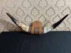 Item thumbnail for item 04db2f95-d834-4b4a-915c-7b42431b546f