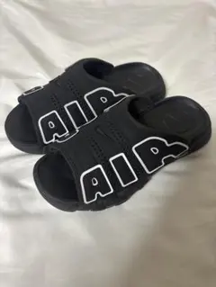Item thumbnail for item 13a40d39-f56a-49a2-bd13-6bf6528fad2f