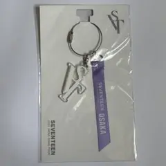 SEVENTEEN チャーム