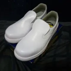 Item thumbnail for item cbe2f2ca-b85b-4fe2-b05a-75c80f49db98