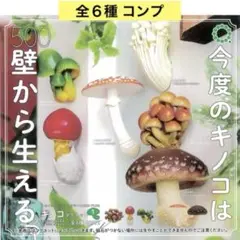 2025年最新】キノコマグネット シイタケの人気アイテム - メルカリ